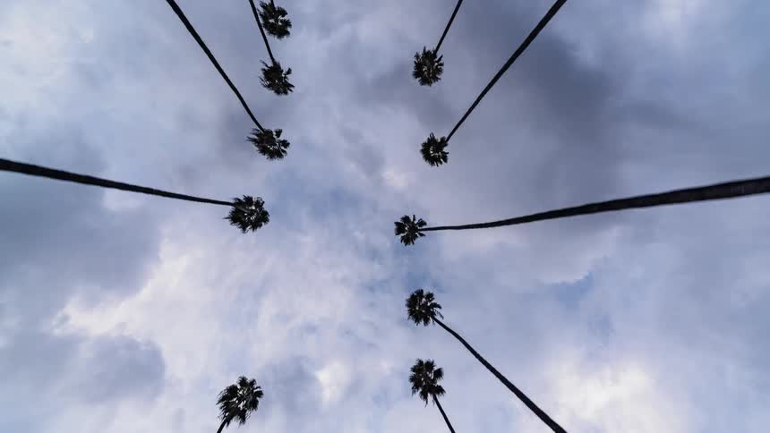 Palm trees along a road beneath a cloudy sky