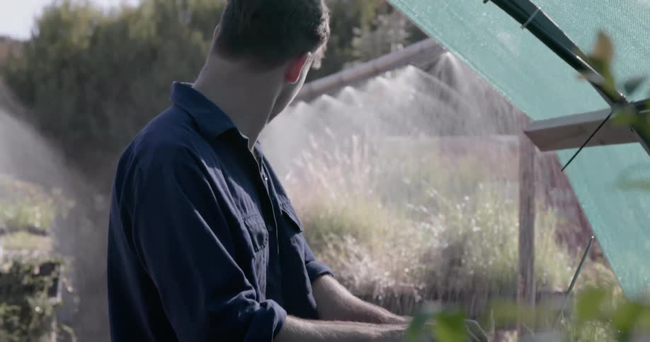 A man is watering plants in a garden