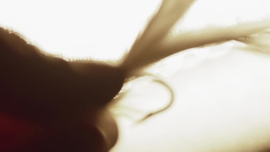 Feathers on a fish hook blow gently in the breeze