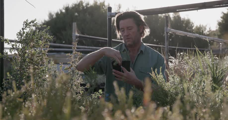 A man is tending to plants in his garden in daylight