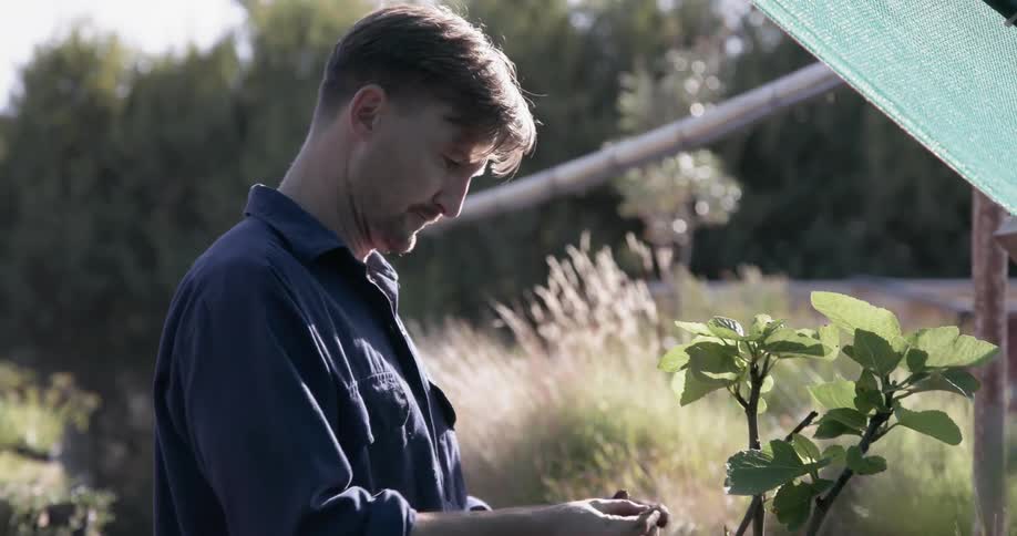 A man is planting something in a pot