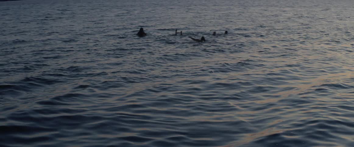 People swim in shallow ocean waters