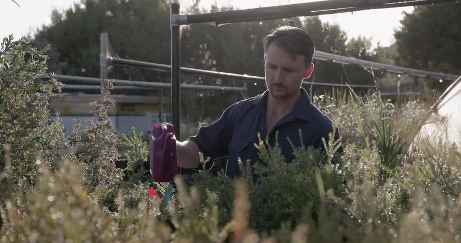 Man waters plants under a sunny sky