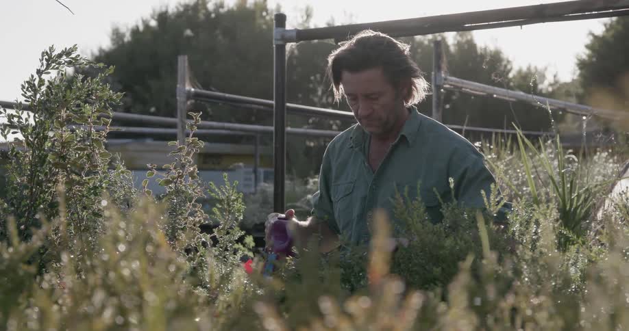 A man is working in his garden watering plants
