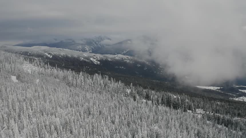 The cloud slowly moves over the snow covered trees