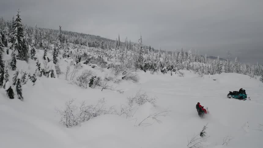 People are riding snowmobiles in snow covered mountain forest