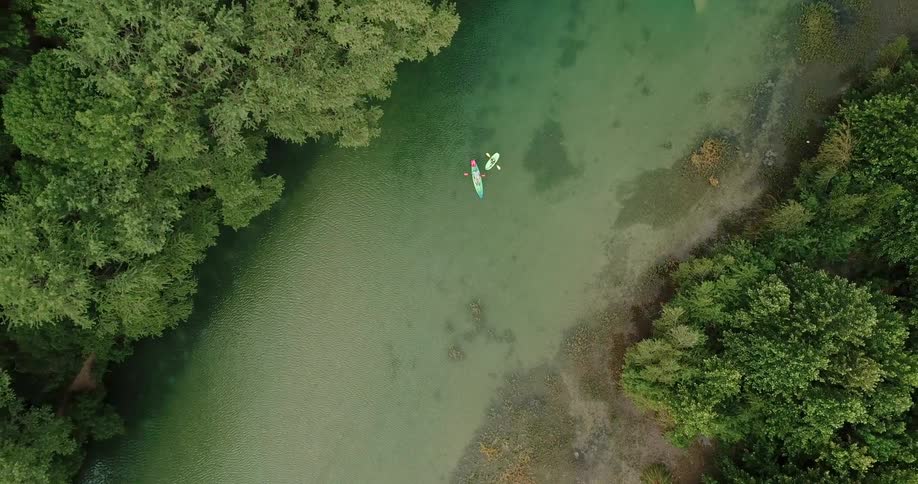 People are rowing canoes on a river in a jungle landscape in daylight
