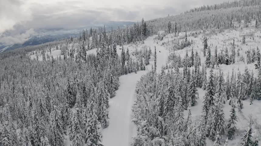 Person riding snowmobile through snow covered mountain forest
