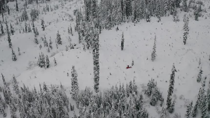 A person rides a snowmobile in a snowy forest