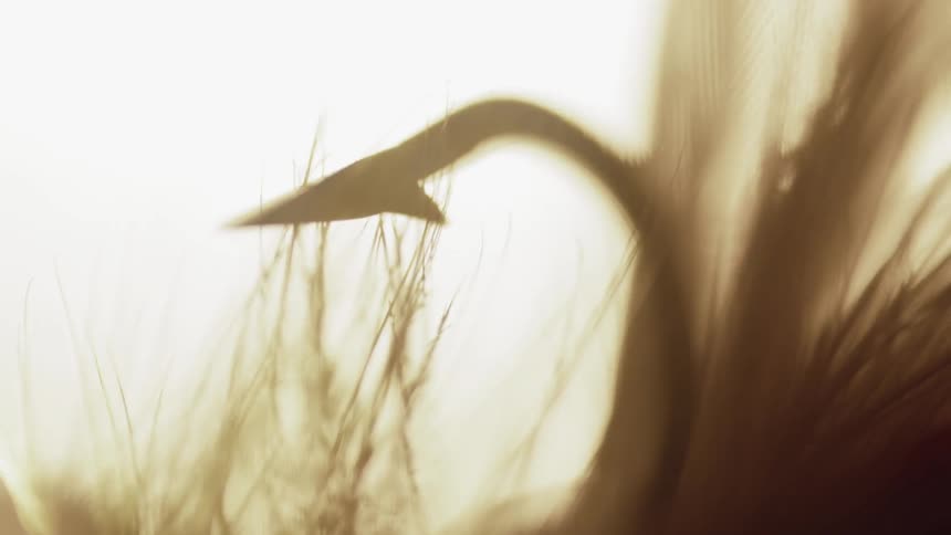 The feathers on a fishing lure blow in the breeze outside in daylight