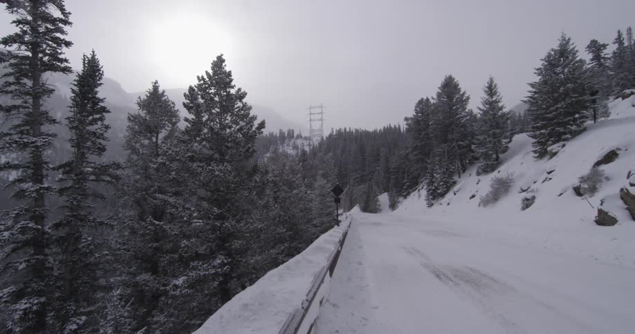 A snow covered road cutting through pine trees on a snowy day
