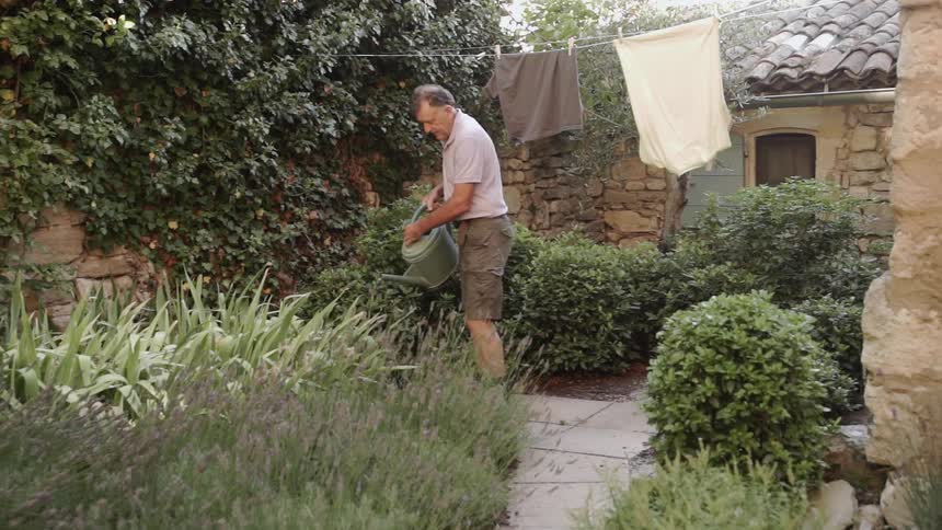 Man watering plants in his yard