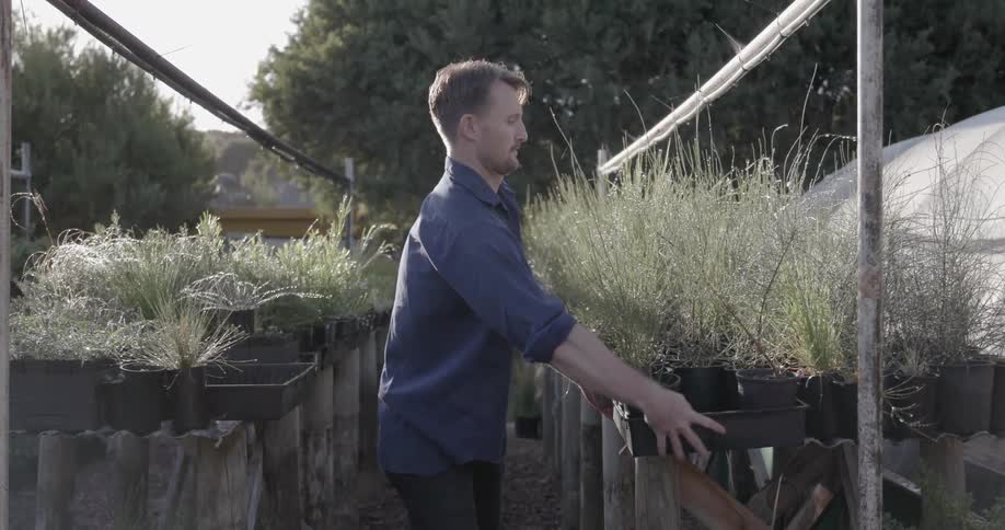 A man works at a nursery