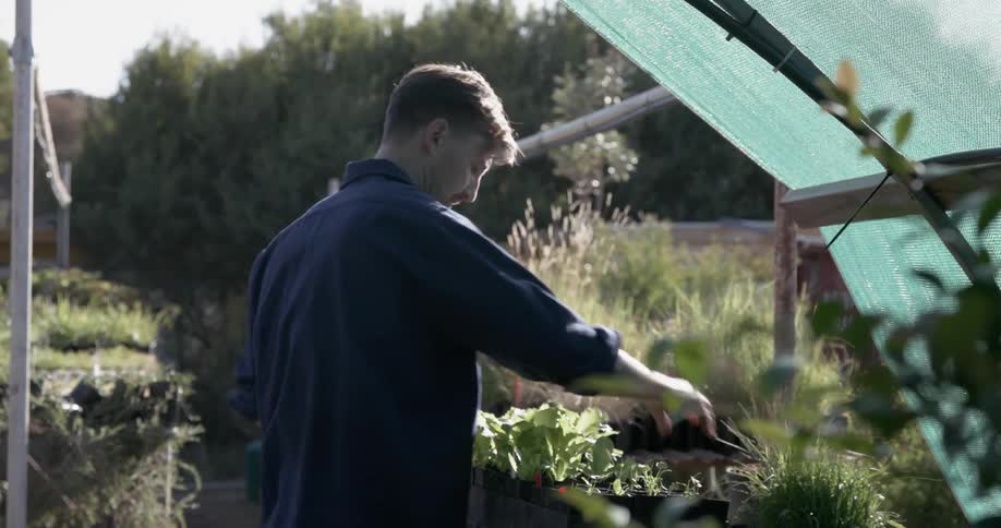 A man carries a pot over to the table