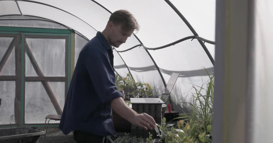 Man is logging plant types in laptop inside greenhouse nursery