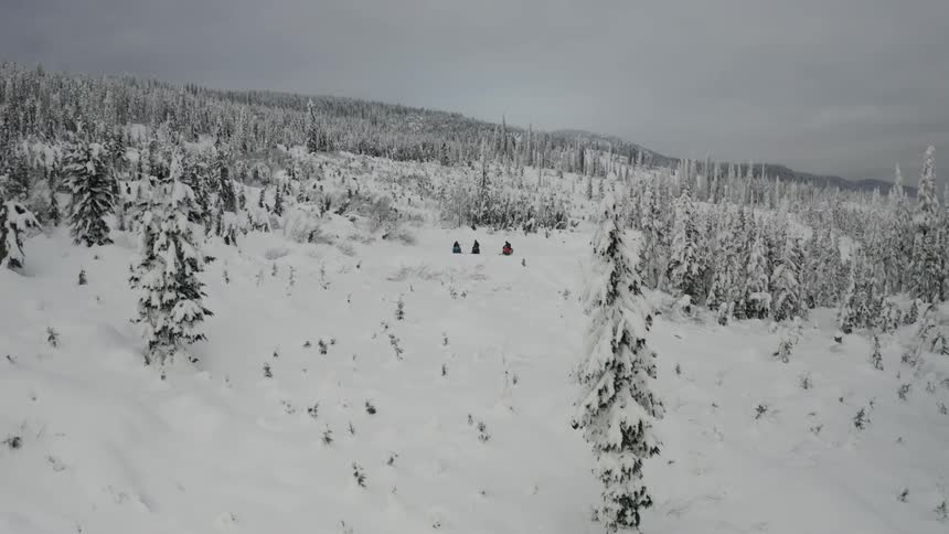 People ride snowmobiles in a snowy forest