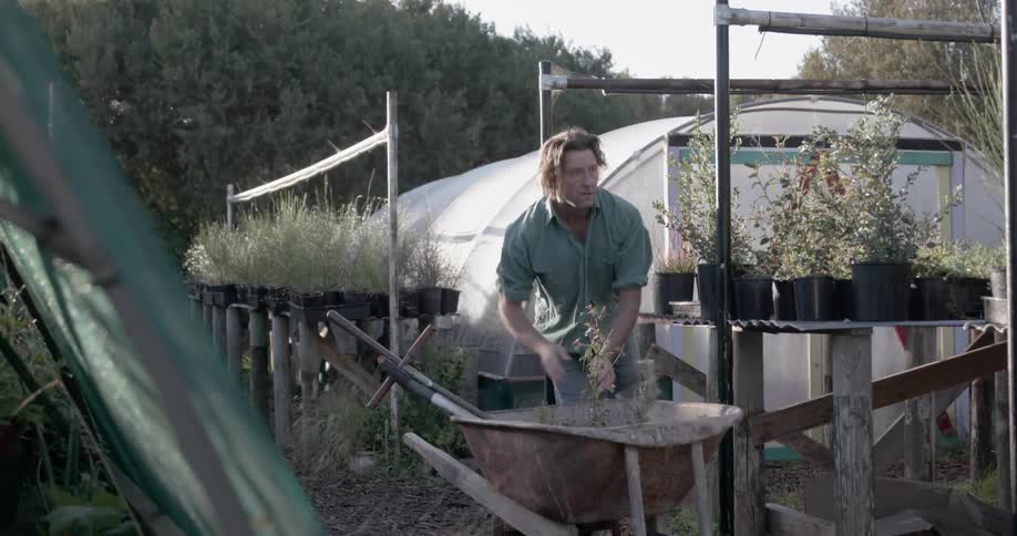 A man is checking on the plants in his garden before wheeling some off