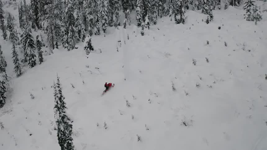 A snowmobile jumps over hills towards the forest