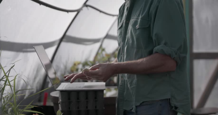 Man in a greenhouse entering information about his plants into a laptop