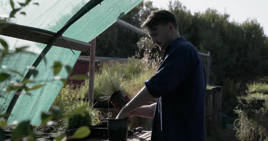 The man is working in the greenhouse
