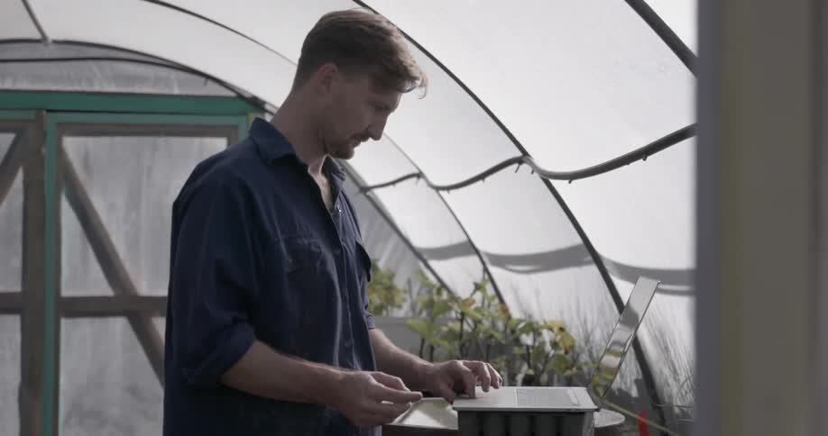 Man standing in a greenhouse types on a laptop