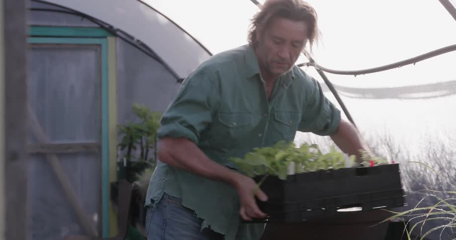 The man pushes a wheelbarrow into the greenhouse