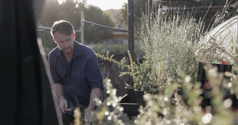A man takes potted plants out of a wheelbarrow and places on a shelf