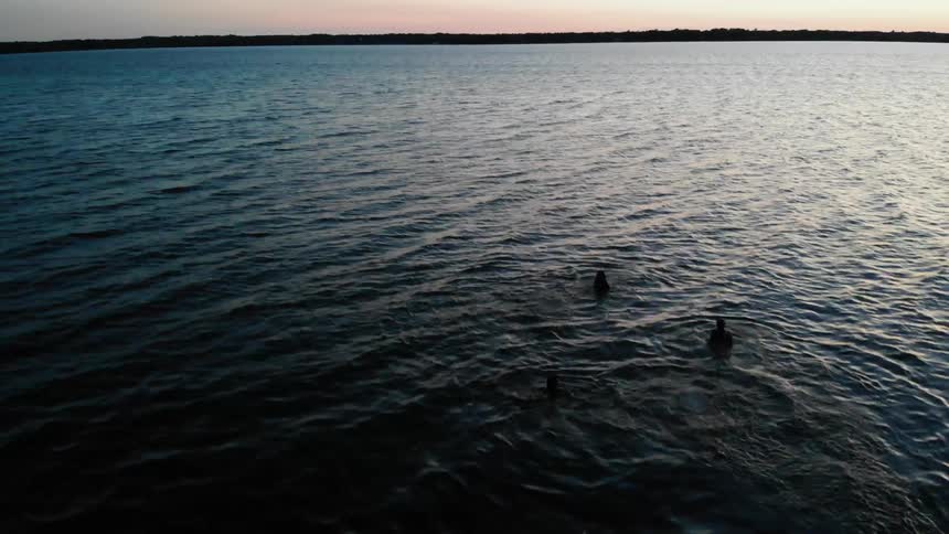 People swim near the beach shore