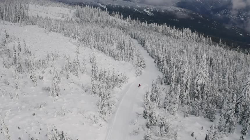Snowmobile travels down a snowy road near a forest