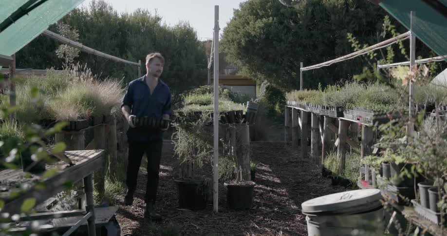 Man carrying plants from garden