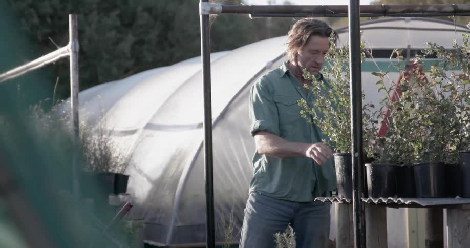 Man is putting plants from garden nurser into wheelbarrow
