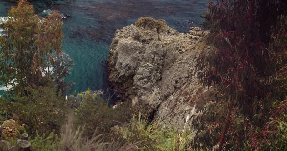 Trees and cliffs against the water