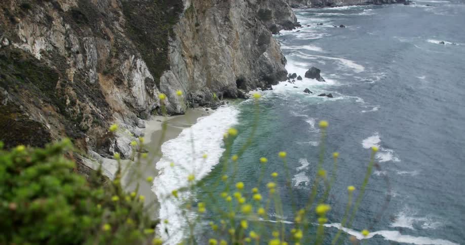 Waves crashing onto a beach with flowers bending in the breeze in the foreground