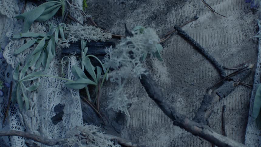 The branches and dirt cover this person's shirt