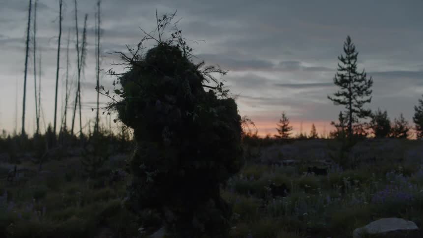 A person walks dressed in shrubs