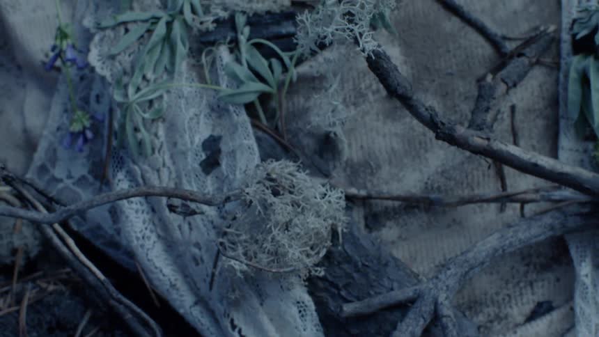 The twigs and branches are covering this person