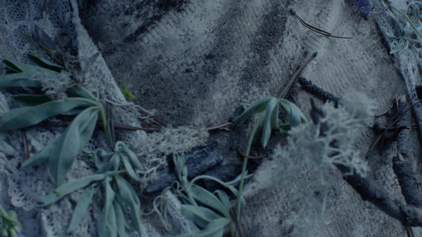 The person is covered in dirt and flowers