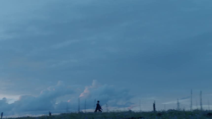 A person wearing a cape walks through the grass