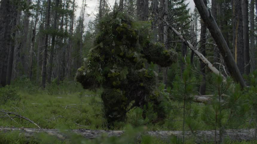 A plant creature walks in a forest