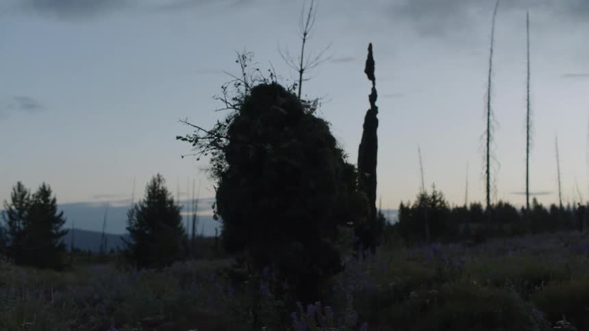 A plant creature walks in a forest at dusk