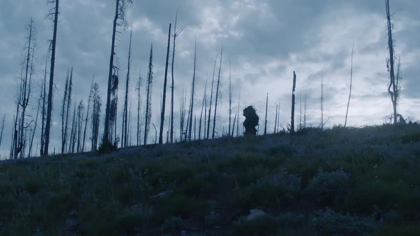 A person camouflaged in a leaf and twig suit walks near the trees
