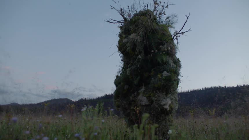 Person covered in vegetation walking through a field