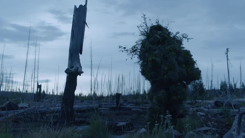 A hunter in a twig and leaf ghillie suit walks through grass
