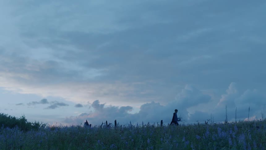 A child walks in a rural field at sunset