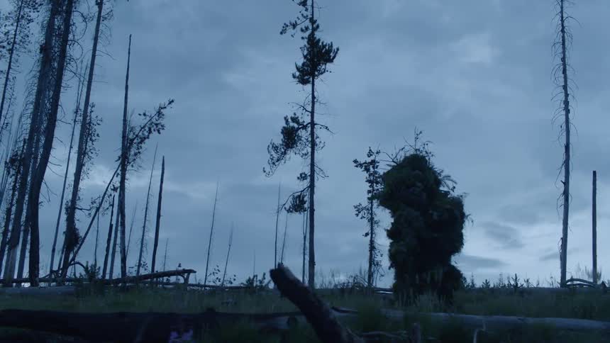 A man in camouflage walks slowly past fallen trees