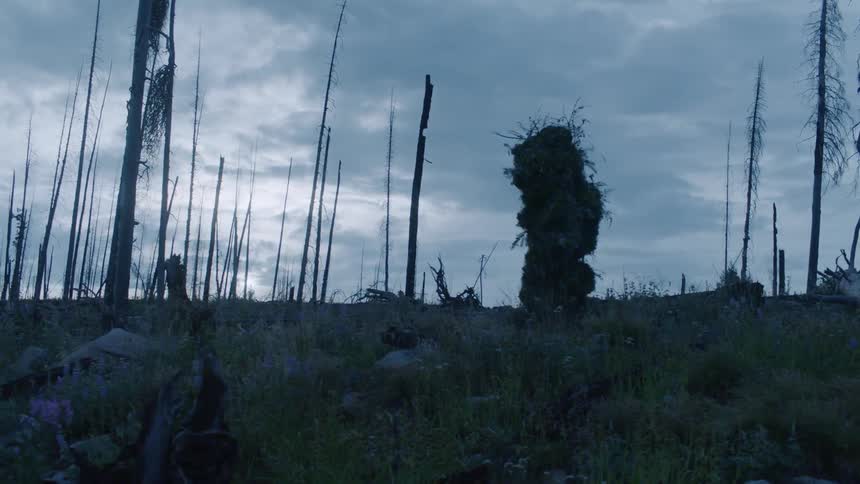 A person walks while covered in green bushes