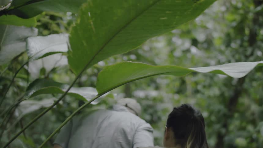 A man and woman walk through the woods