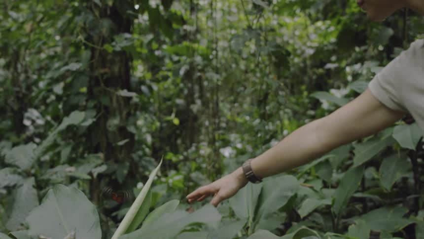 A woman reaches towards a butterfly