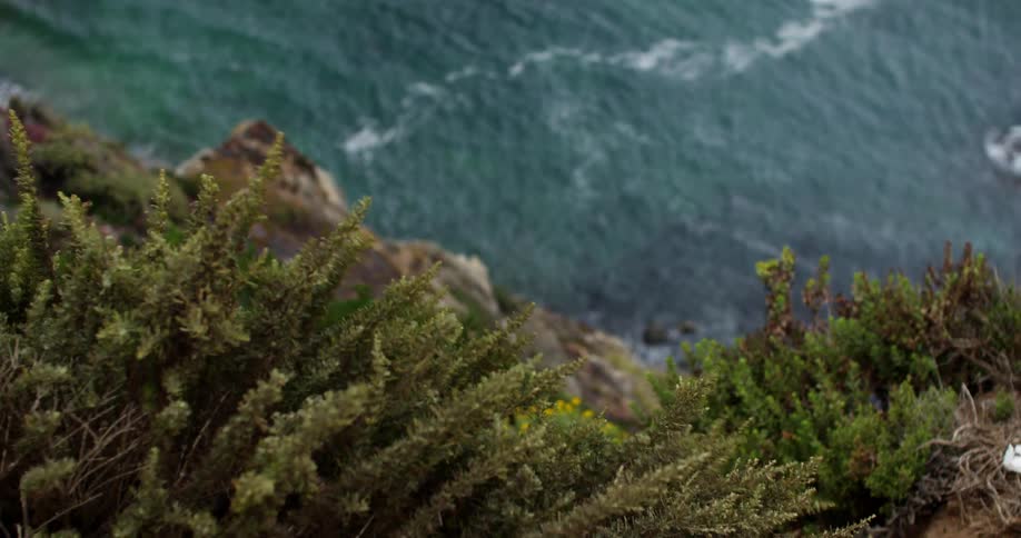 View from above a cliff overseeing water