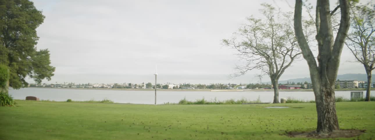 A grassy lawn sits next to a lake